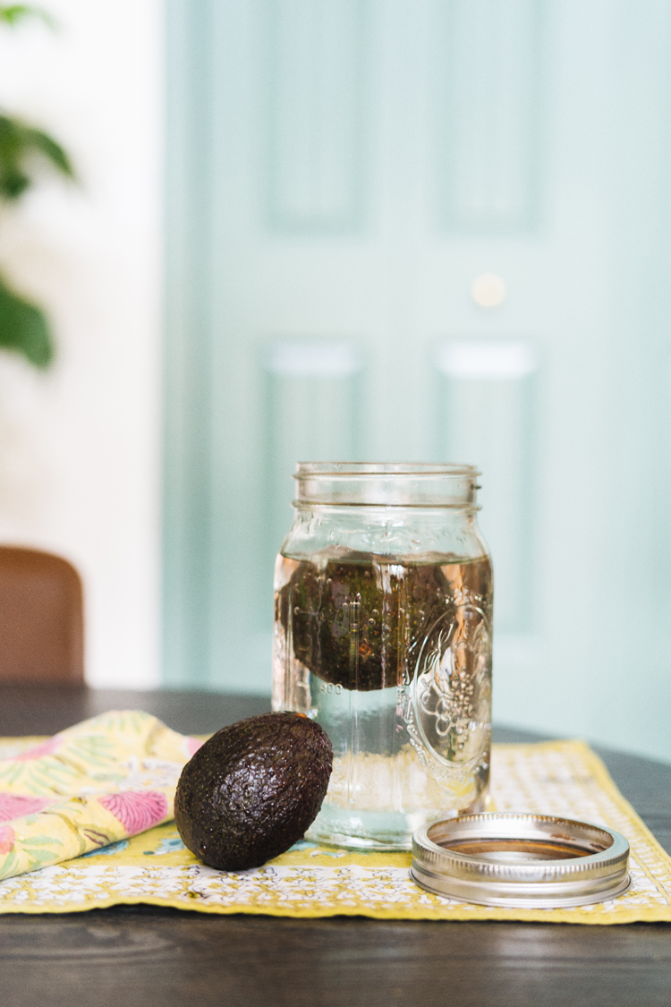 Avocado Storage Techniques